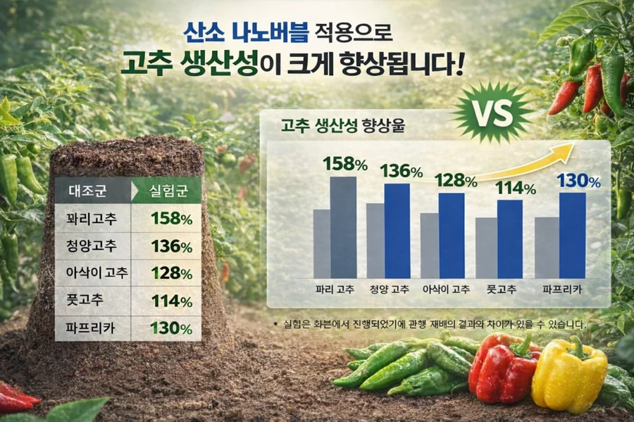 Pepper yield comparison with oxygen nanobubble irrigation