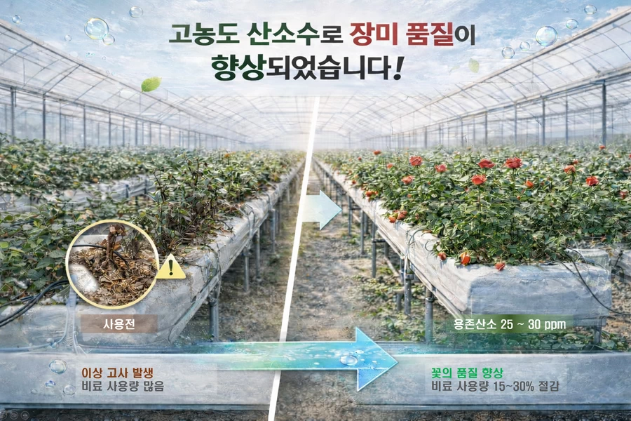 Rose growth recovery and grade comparison after oxygen nanobubble irrigation