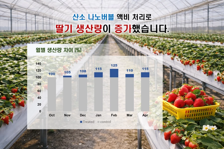 Strawberry yield and quality comparison before and after oxygen nanobubble irrigation