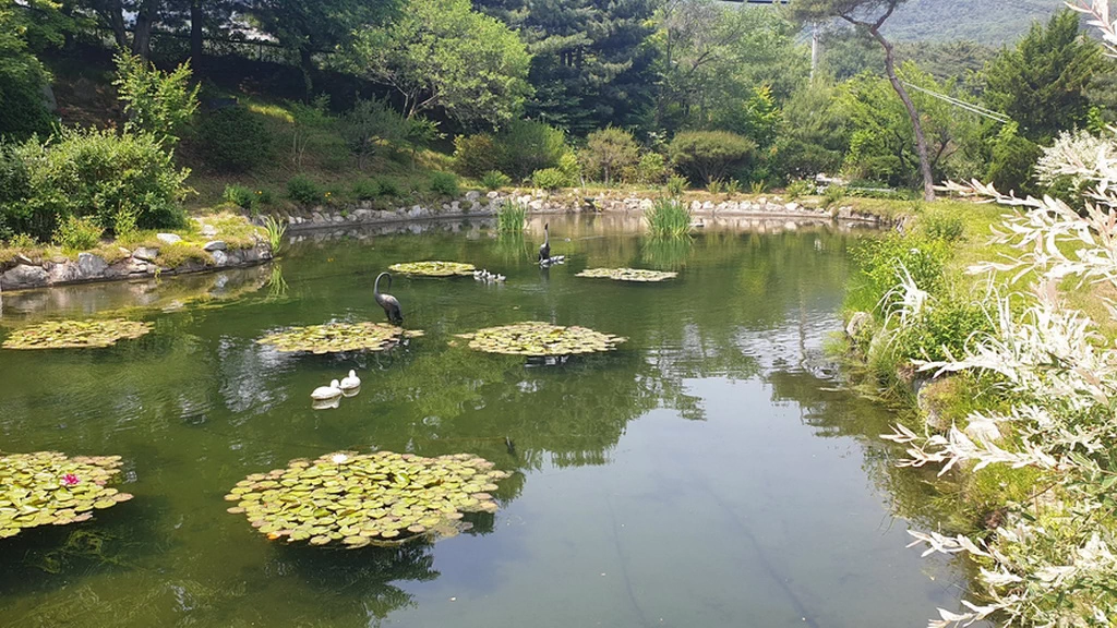 연못 및 호소 수질 개선의 나노버블 응용