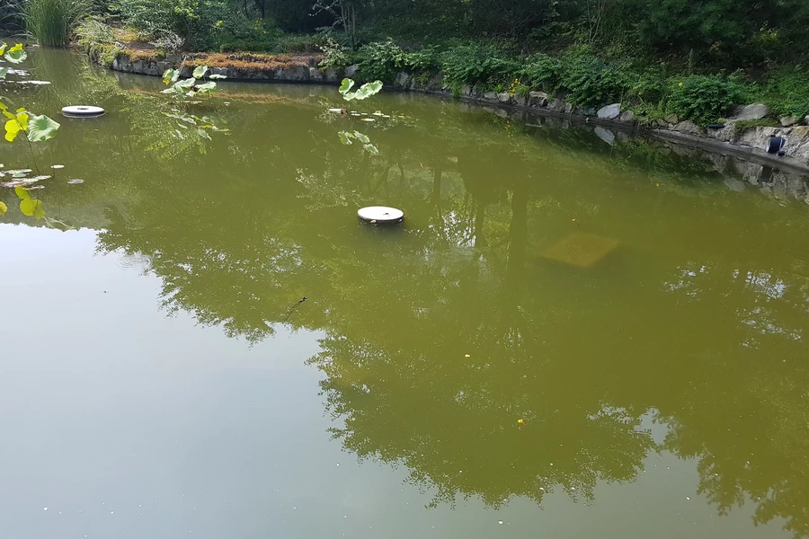 용존산소 향상을 통한 연못 재생 테스트 결과, 인도 하리아나